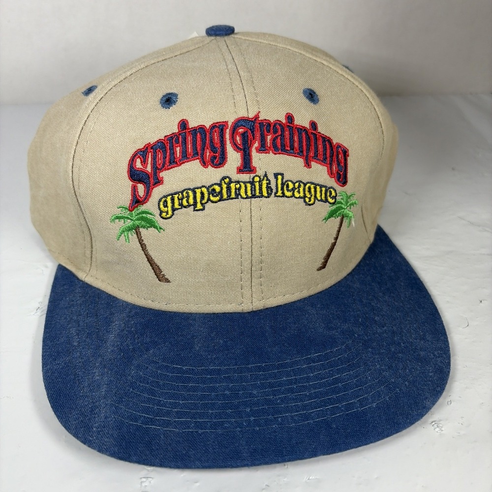 Deadstock Logo 7 Spring Training Grapefruit League MLB Snapback Hat